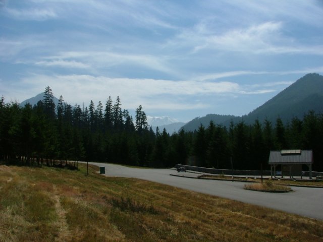 DSCF2388