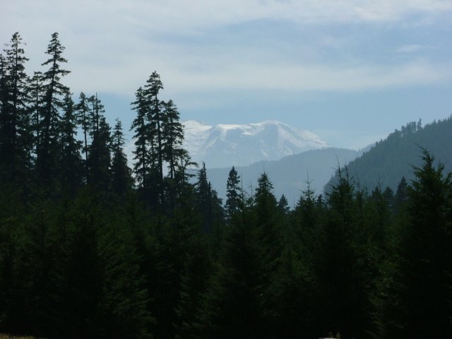 DSCF2389