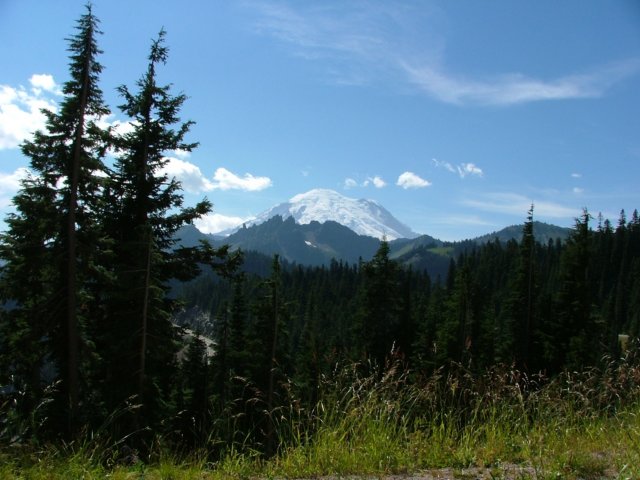 DSCF2408