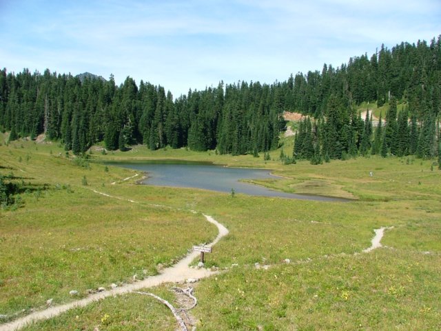 DSCF2423