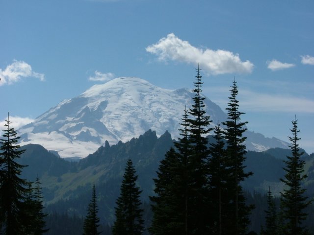 DSCF2434