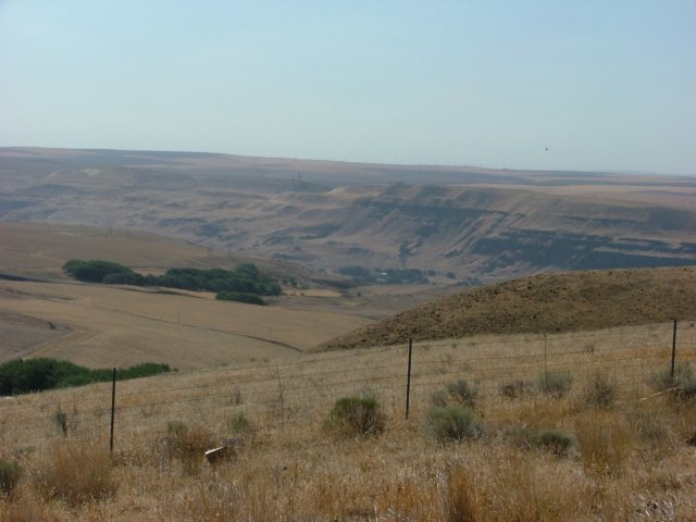 DSCF2477