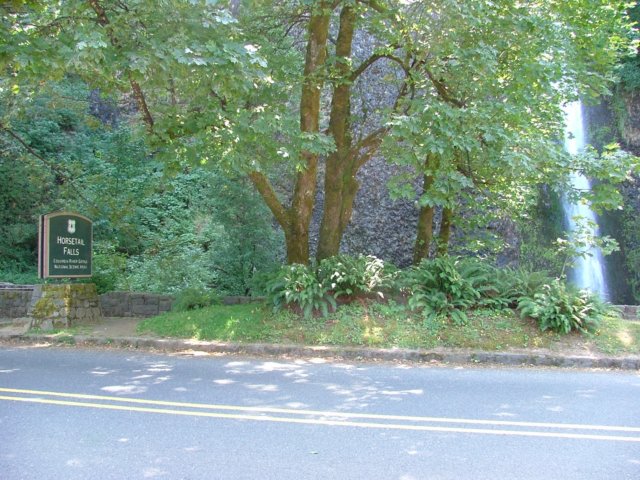 DSCF2608