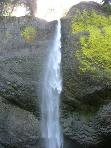 DSCF2633